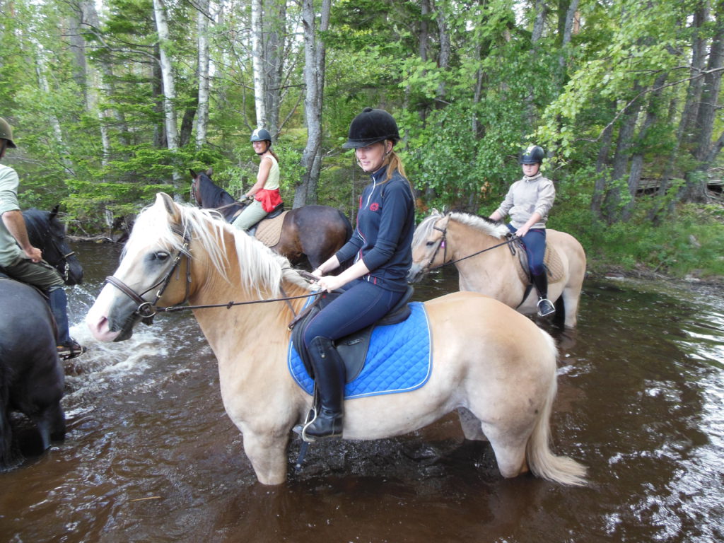 horse trekking